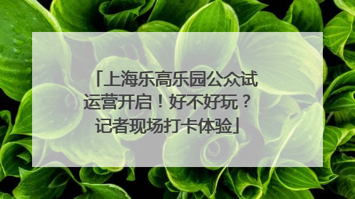 上海乐高乐园公众试运营开启！好不好玩？记者现场打卡体验