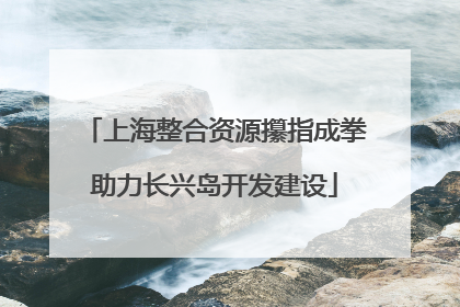 上海整合资源攥指成拳助力长兴岛开发建设
