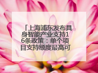 上海浦东发布具身智能产业支持16条政策：单个项目支持额度最高可达亿级