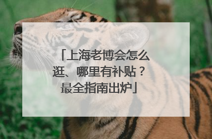上海老博会怎么逛、哪里有补贴？最全指南出炉
