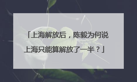 上海解放后，陈毅为何说上海只能算解放了一半？