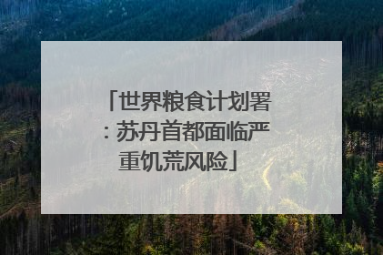 世界粮食计划署：苏丹首都面临严重饥荒风险
