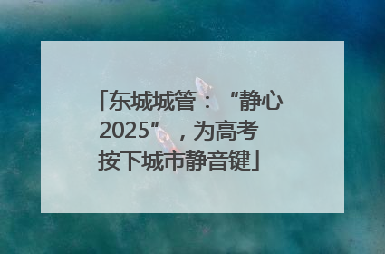 东城城管：“静心2025”，为高考按下城市静音键