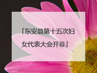 东安县第十五次妇女代表大会开幕