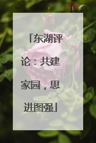 东湖评论：共建家园，思进图强