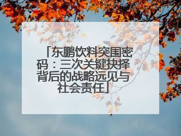 东鹏饮料突围密码：三次关键抉择背后的战略远见与社会责任