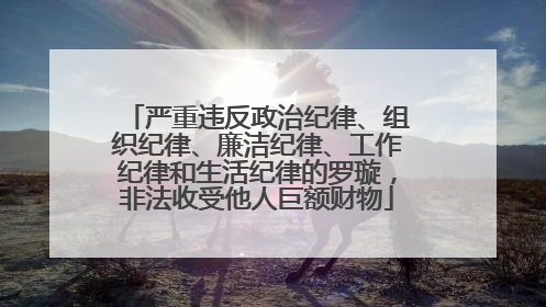 严重违反政治纪律、组织纪律、廉洁纪律、工作纪律和生活纪律的罗璇，非法收受他人巨额财物