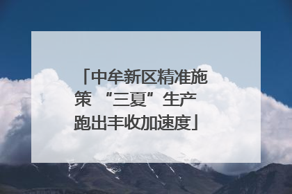 中牟新区精准施策 “三夏”生产跑出丰收加速度