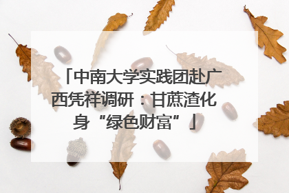 中南大学实践团赴广西凭祥调研：甘蔗渣化身“绿色财富”