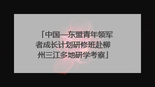 中国—东盟青年领军者成长计划研修班赴柳州三江多地研学考察