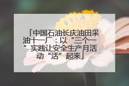 中国石油长庆油田采油十一厂：以“三个一”实践让安全生产月活动“活”起来