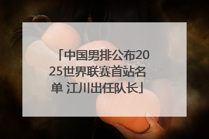 中国男排公布2025世界联赛首站名单 江川出任队长