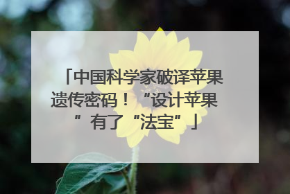 中国科学家破译苹果遗传密码！“设计苹果”有了“法宝”