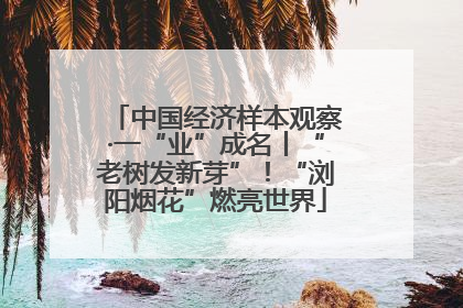 中国经济样本观察·一“业”成名丨“老树发新芽”！“浏阳烟花”燃亮世界