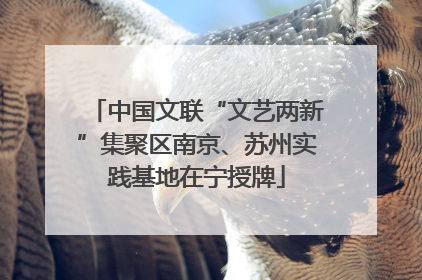 中国文联“文艺两新”集聚区南京、苏州实践基地在宁授牌