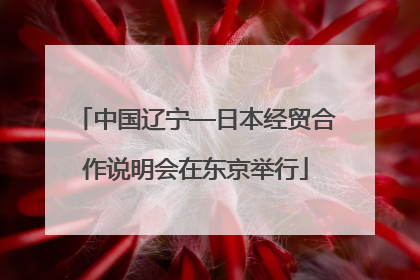 中国辽宁—日本经贸合作说明会在东京举行