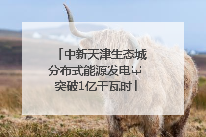 中新天津生态城分布式能源发电量突破1亿千瓦时