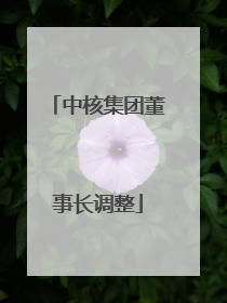 中核集团董事长调整