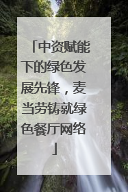 中资赋能下的绿色发展先锋，麦当劳铸就绿色餐厅网络