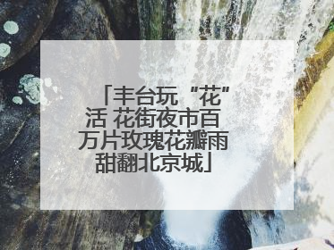 丰台玩“花”活 花街夜市百万片玫瑰花瓣雨甜翻北京城