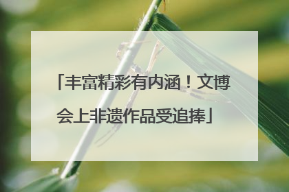 丰富精彩有内涵！文博会上非遗作品受追捧