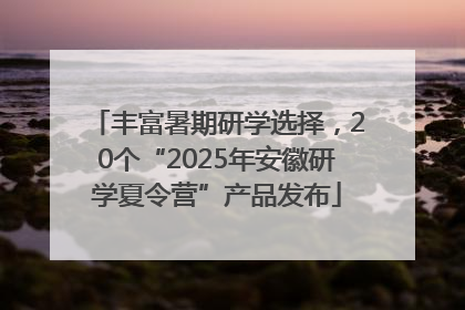 丰富暑期研学选择，20个“2025年安徽研学夏令营”产品发布