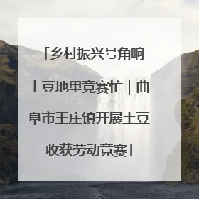 乡村振兴号角响 土豆地里竞赛忙｜曲阜市王庄镇开展土豆收获劳动竞赛