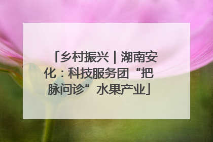 乡村振兴｜湖南安化：科技服务团“把脉问诊”水果产业