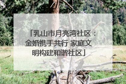 乳山市月亮湾社区：金婚携手共行 家庭文明构建和谐社区
