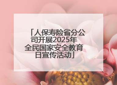 人保寿险省分公司开展2025年全民国家安全教育日宣传活动