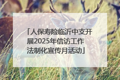 人保寿险临沂中支开展2025年信访工作法制化宣传月活动