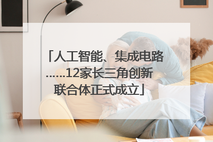人工智能、集成电路……12家长三角创新联合体正式成立