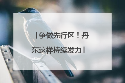 争做先行区！丹东这样持续发力