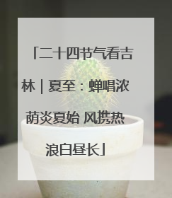 二十四节气看吉林｜夏至：蝉唱浓荫炎夏始 风携热浪白昼长