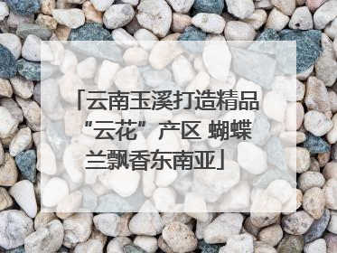 云南玉溪打造精品“云花”产区 蝴蝶兰飘香东南亚