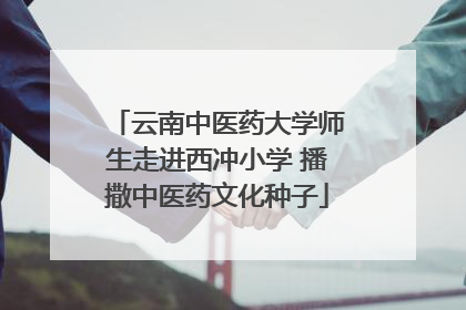 云南中医药大学师生走进西冲小学 播撒中医药文化种子
