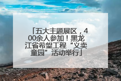 五大主题展区，400余人参加！黑龙江省希望工程“义卖童园”活动举行