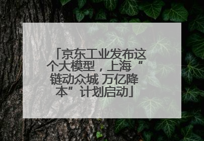 京东工业发布这个大模型，上海“链动众城 万亿降本”计划启动