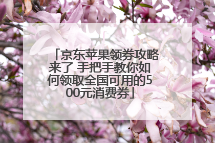 京东苹果领券攻略来了 手把手教你如何领取全国可用的500元消费券