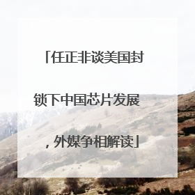 任正非谈美国封锁下中国芯片发展，外媒争相解读