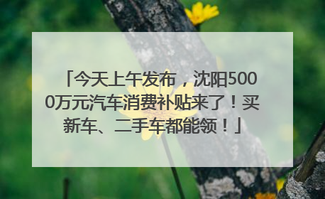 今天上午发布，沈阳5000万元汽车消费补贴来了！买新车、二手车都能领！