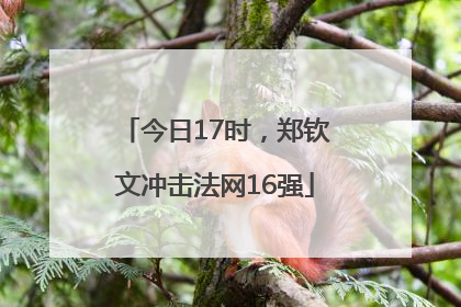 今日17时，郑钦文冲击法网16强