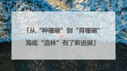 从“种珊瑚”到“育珊瑚” 海底“造林”有了新进展