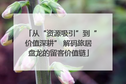从“资源吸引”到“价值深耕” 解码旅居盘龙的留客价值链