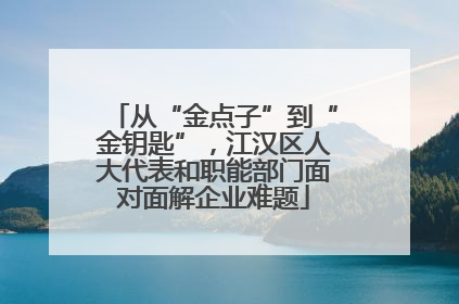 从“金点子”到“金钥匙”，江汉区人大代表和职能部门面对面解企业难题