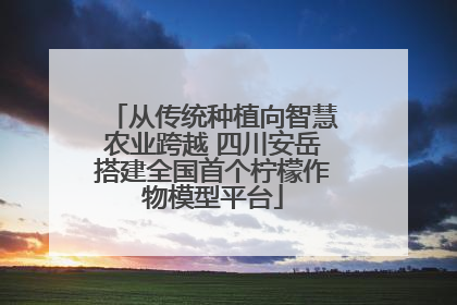 从传统种植向智慧农业跨越 四川安岳搭建全国首个柠檬作物模型平台