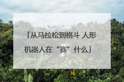 从马拉松到格斗 人形机器人在“赛”什么