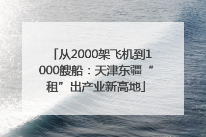 从2000架飞机到1000艘船：天津东疆“租”出产业新高地