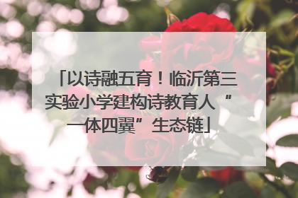 以诗融五育！临沂第三实验小学建构诗教育人“一体四翼”生态链