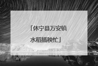 休宁县万安镇水稻插秧忙